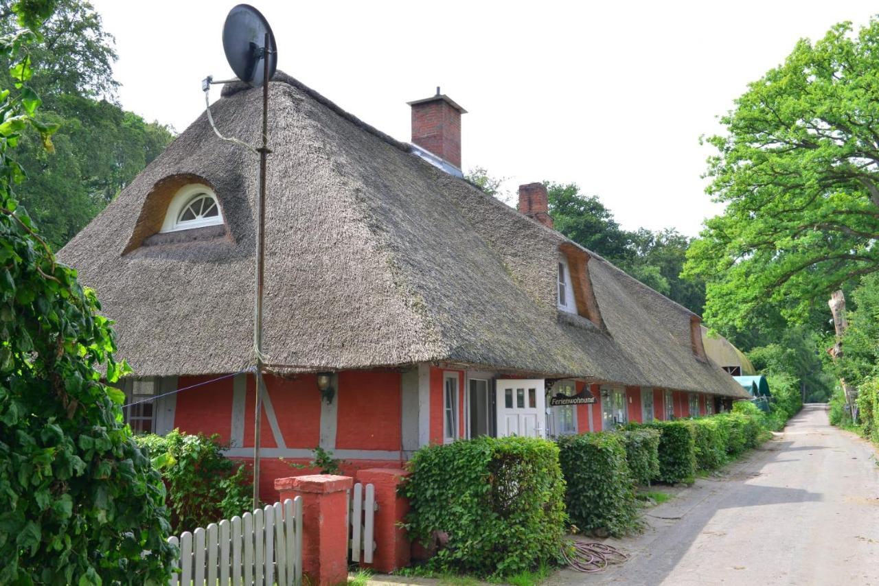 Wohnungen Unter Reet Krems Zwei Esterno foto