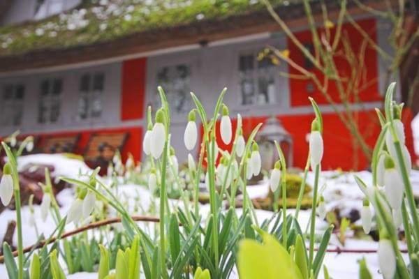 Wohnungen Unter Reet Krems Zwei Esterno foto