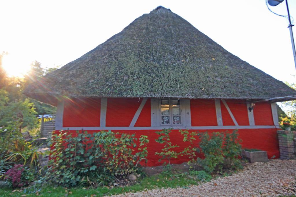 Wohnungen Unter Reet Krems Zwei Esterno foto