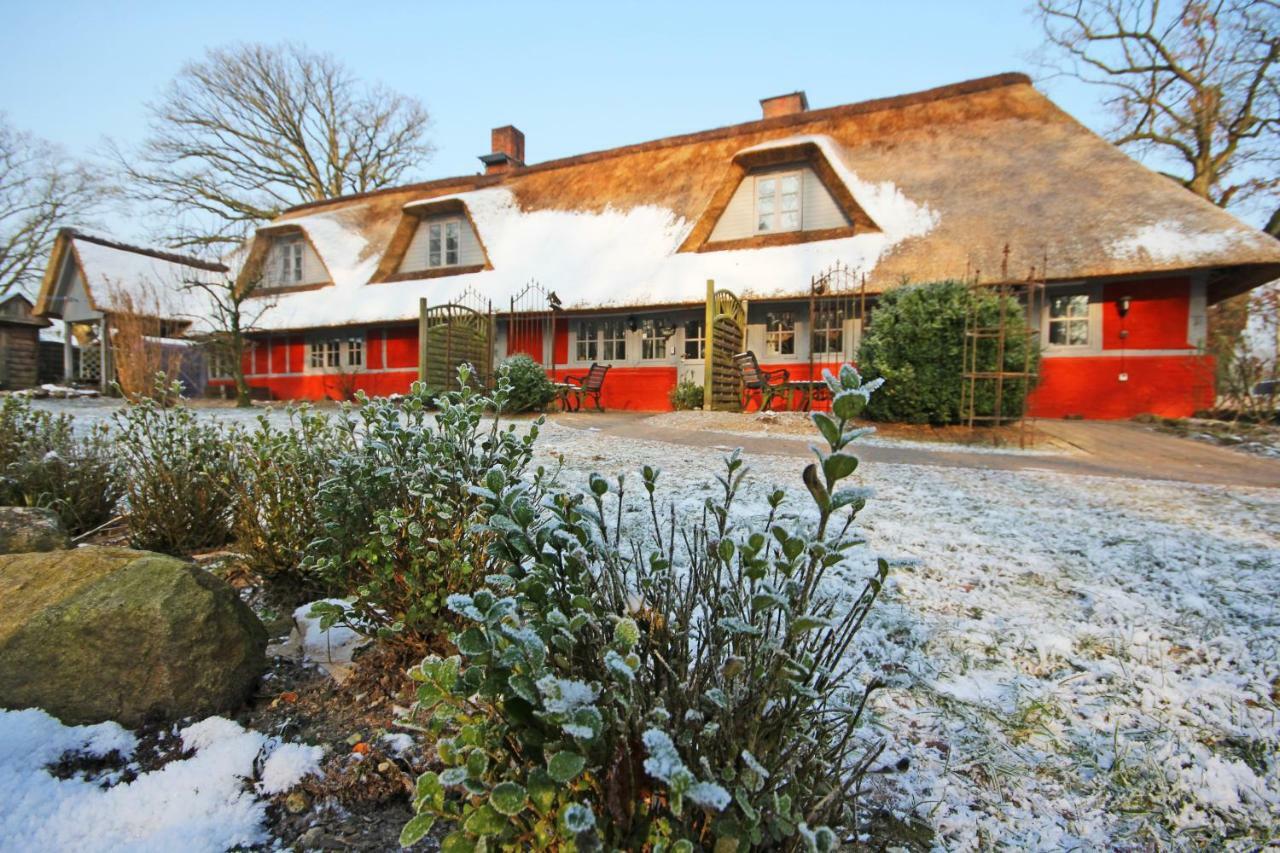 Wohnungen Unter Reet Krems Zwei Esterno foto